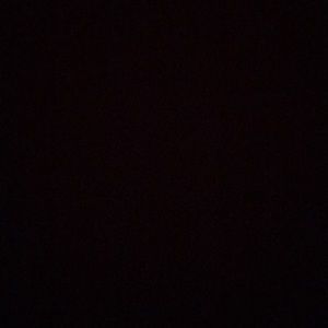 Meet your Posher, Dylan